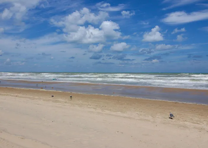 Ventura