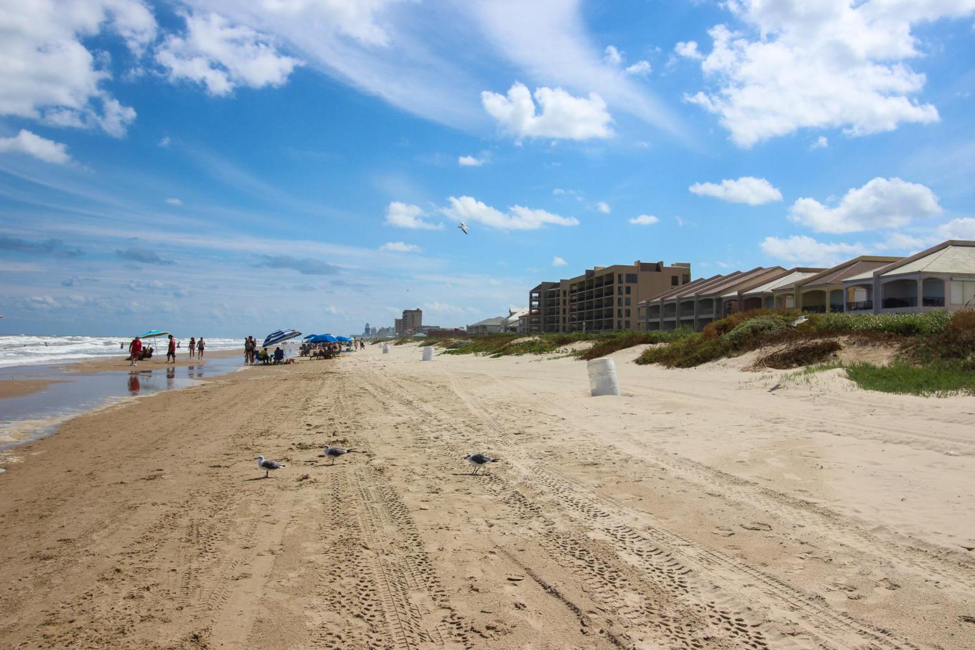 Ventura * South Padre Island